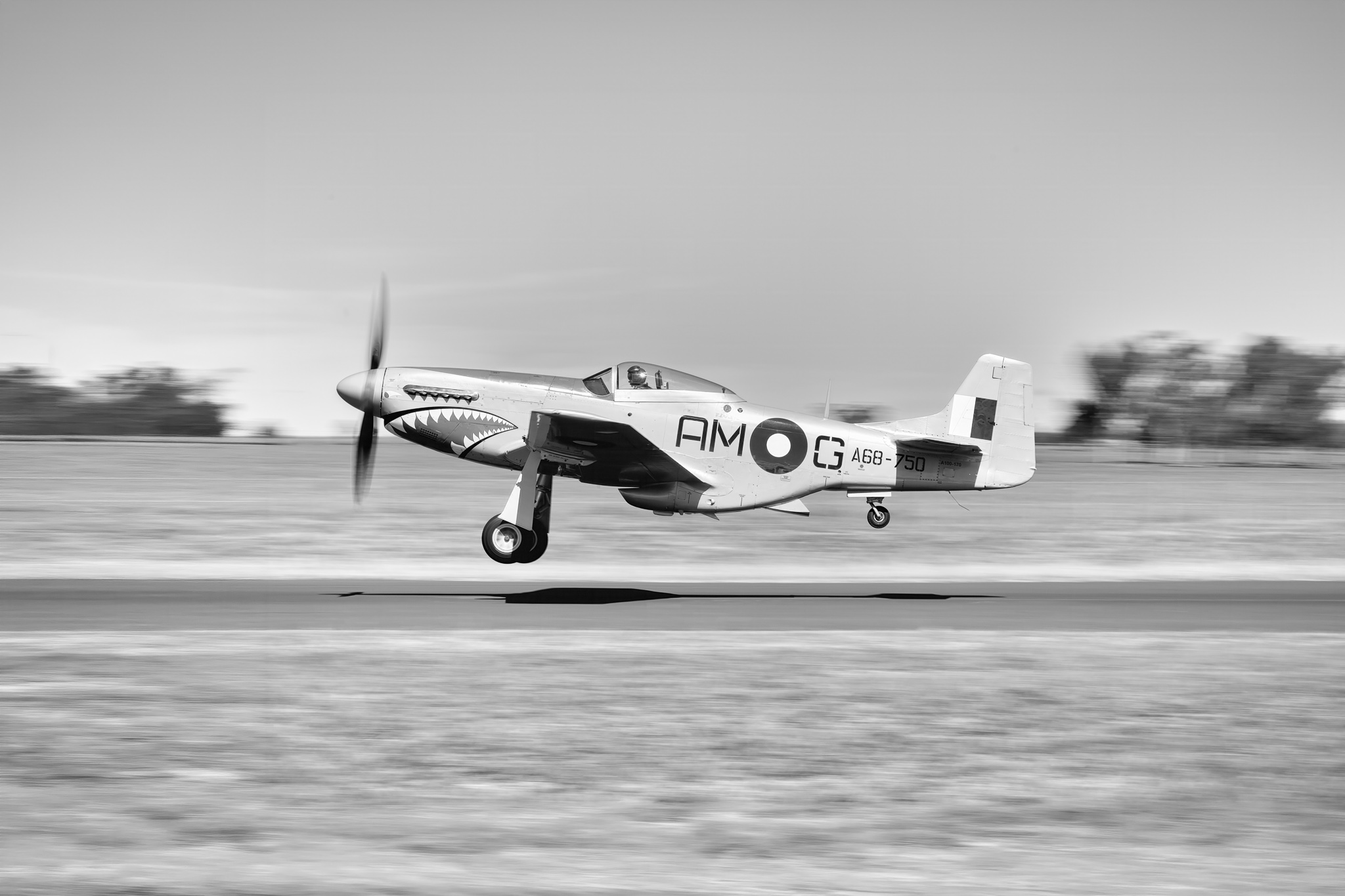 P-51D Mustang AM-G low pass, panning blur